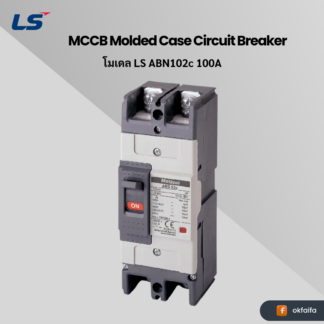 LS electric MCCB 2P [ABN102c 100A EXP]