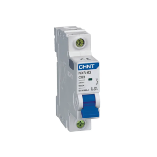 CHINT MCB 10A CHINT [NXB-63 C10 2P 10A 10KA]
